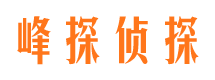 美溪市调查公司